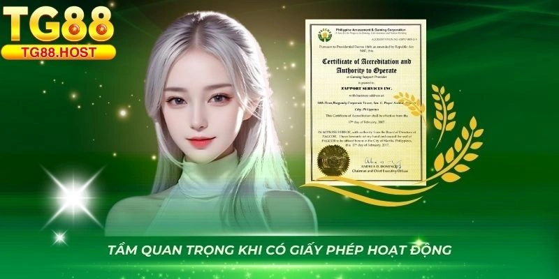 giấy phép hoạt động